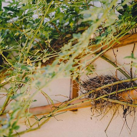 Holiday Home Castanea Praporcan 外观 照片