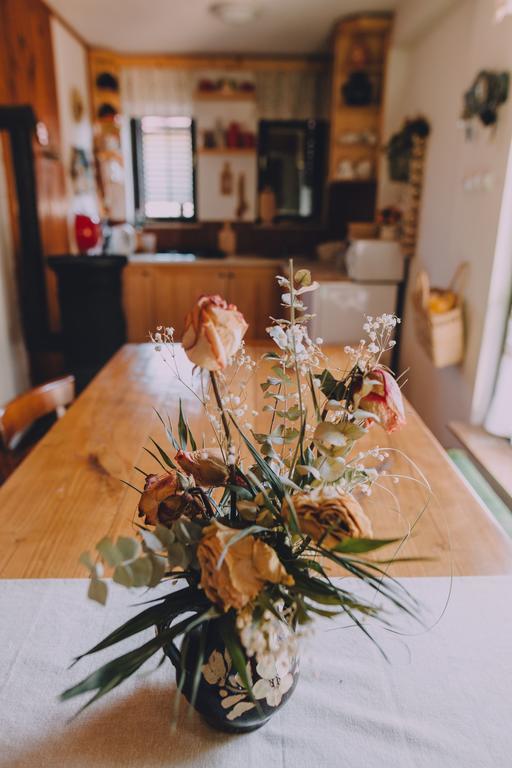 Holiday Home Castanea Praporcan 外观 照片