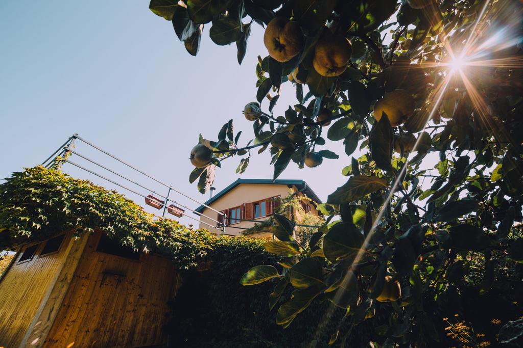Holiday Home Castanea Praporcan 外观 照片